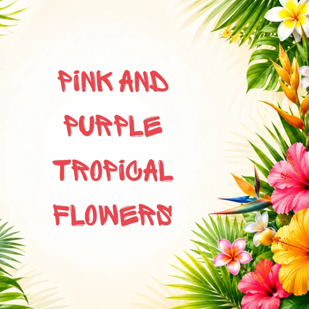 Pink and Purple Tropical Flowers