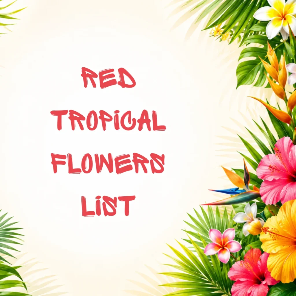 Red Tropical Flowers List