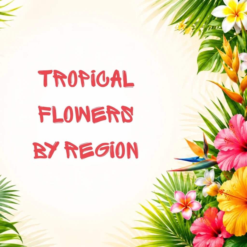 Tropical Flowers by Region