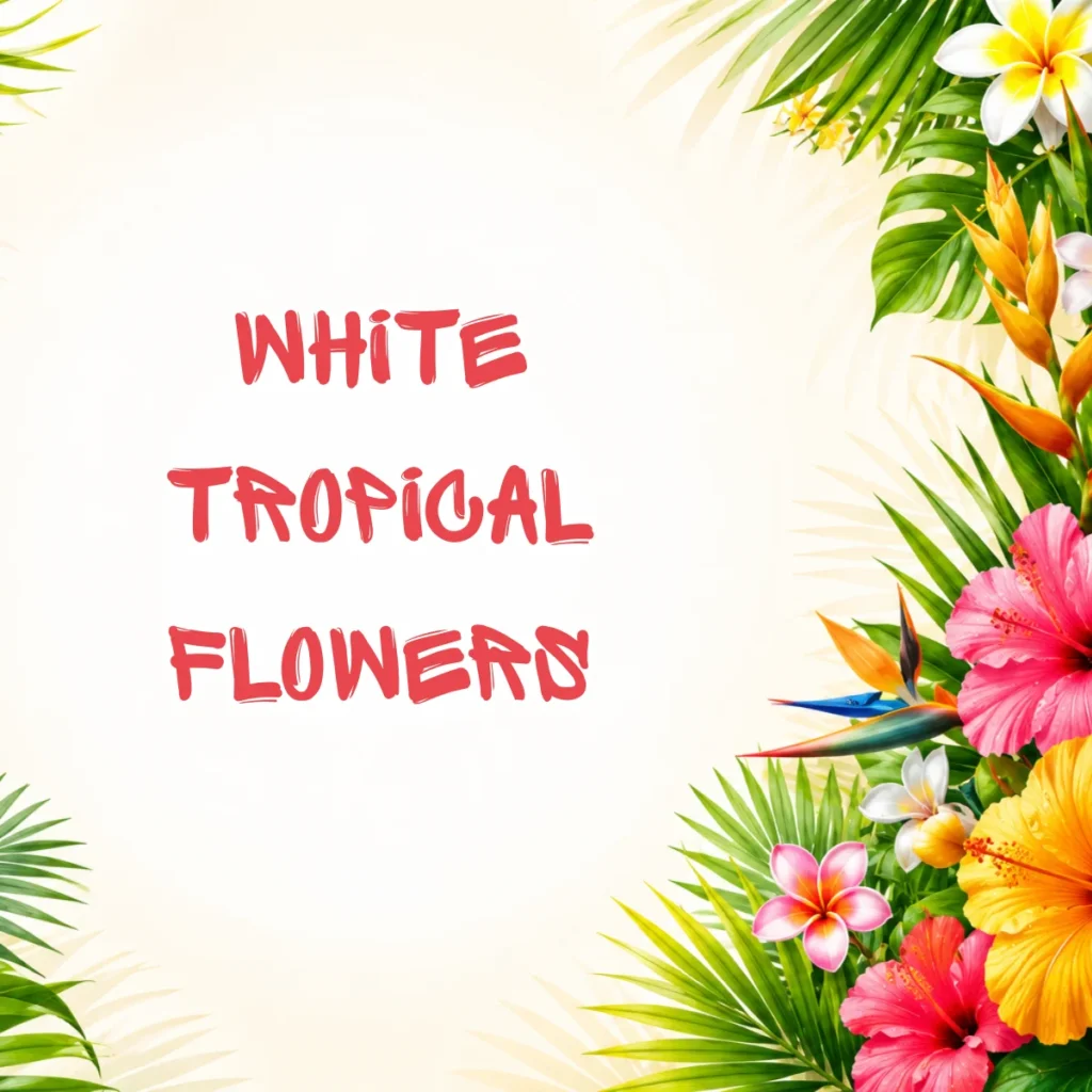 White Tropical Flowers