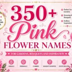 350+ Pink Flower Names for Gardens, Bouquets and Inspiration