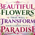 Beautiful Flowers That Will Transform Your Garden into a Paradise