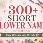 300+ Short Flower Names Tiny Blooms, Big Beauty 🌸
