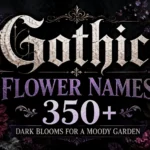 Gothic Flower Names 350+ Dark Blooms for a Moody Garden