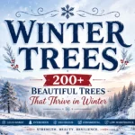 Winter Trees 200+ Beautiful Trees That Thrive in Winter